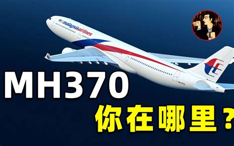 MH370 news: Malaysia pilot called engineer before flight went missing ...