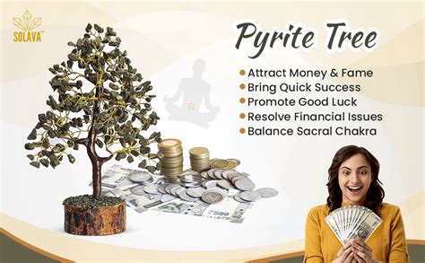 SOLAVA Pyrite Crystal Tree for Money - Money Stone Tree for Wealth ...