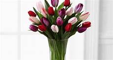 significato fiori tulipani tulipano bianco significato significato fiori regalare significato fiori tulipani tulipano bianco significato significato fiori regalare