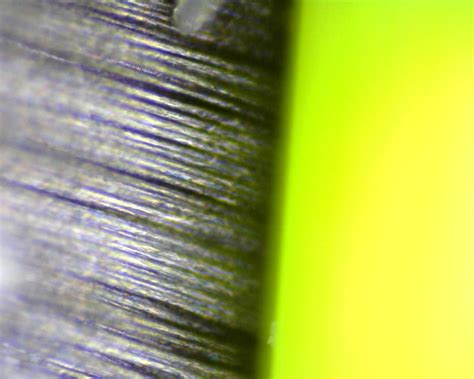 Image result for Magnification Examples