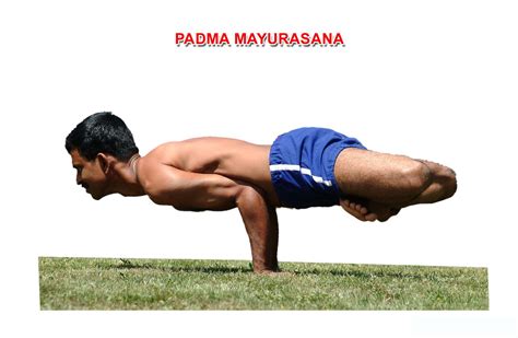 National Yoga Association of India