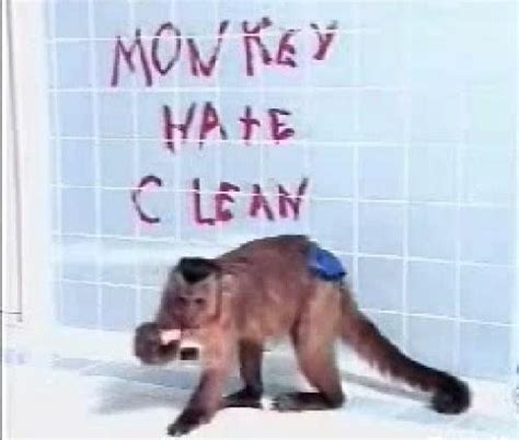 Image result for Alien Monkeys Bathroom