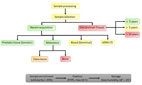 How the Analysis of the Pathogenetic Variants of DDR Genes Will Change ...