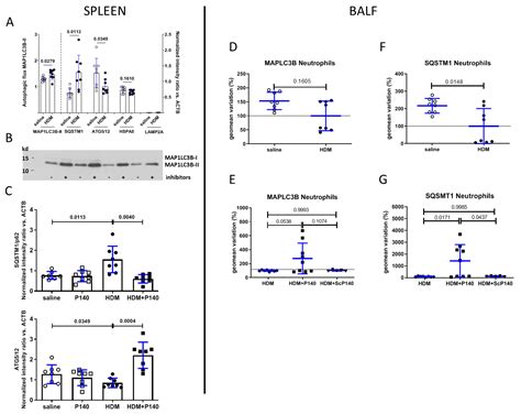 An Autophagy Modulator Peptide Prevents Lung Function Decrease and ...