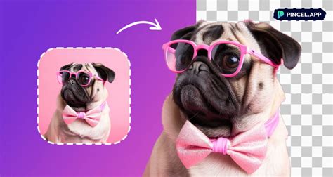 Image result for Create PNG File