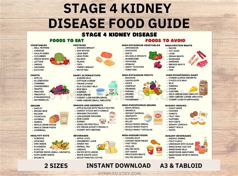 Stage 4 Renal Diet Food List