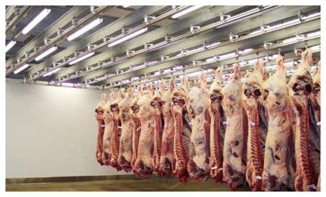 猪屠宰设备，牛屠宰设备，羊屠宰设备，肉类加工设备/青岛特恩特机械有限公司