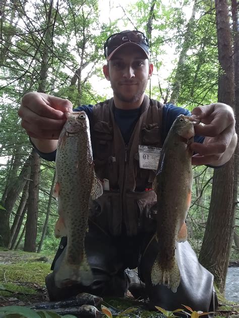 2020 Pennsylvania Trout Stocking Dates and Locations Announced ...