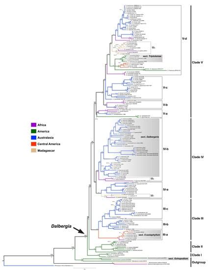 A Dated Phylogeny of the Pantropical Genus Dalbergia L.f. (Leguminosae ...