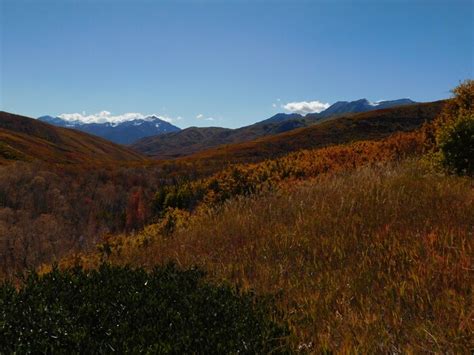 For Utah’s beautiful autumn leaves, wheelchair access and a living ...