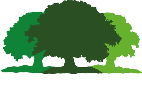 Admissions - Great Oaks School