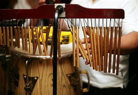 Reggae Instruments 的图像结果