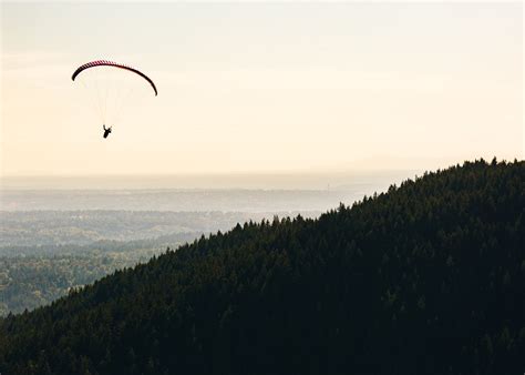 The Power of the Wide Shot in Filmmaking - Artistic Hive