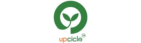 Buy Upciclo Beautiful Paper Mache Kashmiri Meter Box/Multi Purpose ...