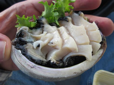 What Is Abalone Food at Will Cornish blog