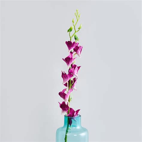 Buy Botanical Orchid Plastic Artificial Flower - 89cm from Home Centre ...