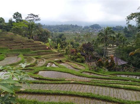 Bali Taksu Holiday (Bedugul) - All You Need to Know BEFORE You Go