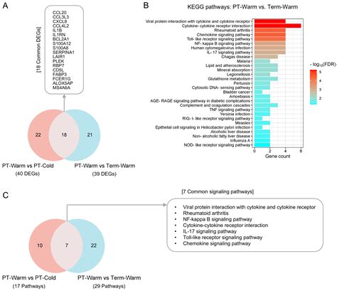 Seasonal Influences on Human Placental Transcriptomes Associated with ...