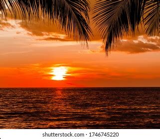 Image result for Sunset Climb O2