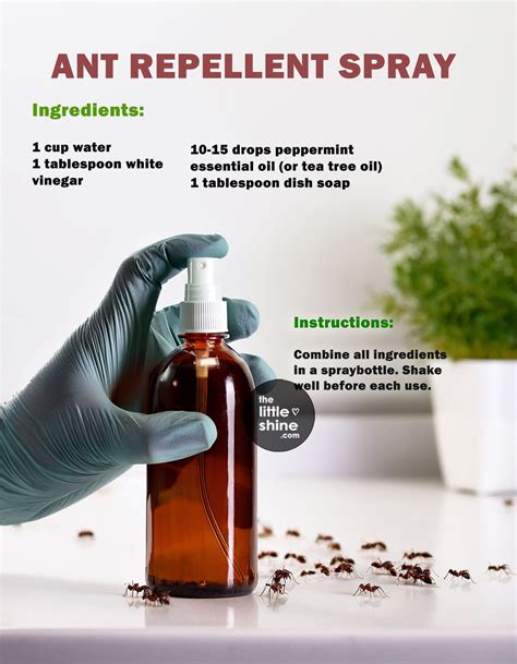 Pin by Marilyn Diederichsen on PESTS/Bug/spider/chiggers/bed bugs bites/Mice in 2025 | Bug spray ...