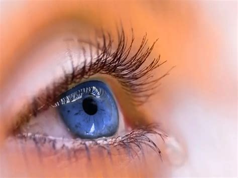 眼屎异常增多，或眼健康存在隐患__凤凰网