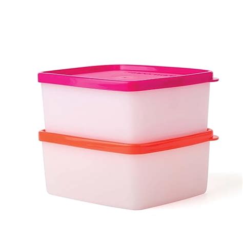 Buy Tupperware Plastic Fridgemate Small, 400Ml (Set Of 2) Online at Low ...