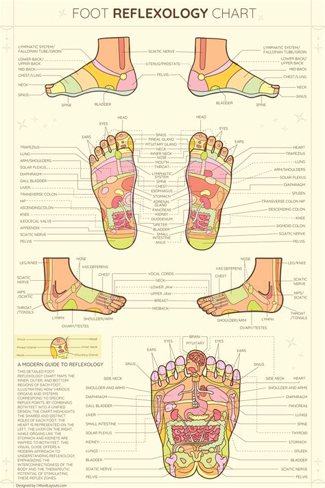 Complete Foot to Body Reflexology Mapping Chart - WordLayouts