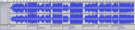 Image result for Audacity Export Labels