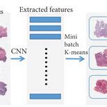 Deep Learning Model Simple Flow Chart 的图像结果