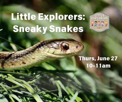 Little Explorers: Sneaky Snakes, 1943 Columbia Park Trl, Richland, WA ...