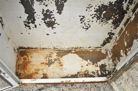 Home Exercise Program for Beginners 的图像结果