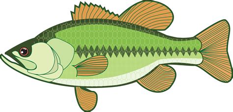 Fishing Clipart Transparent - Library of bait fish clipart royalty free ...