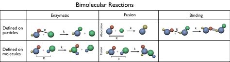 Bimolecular Reaction Energy Profile