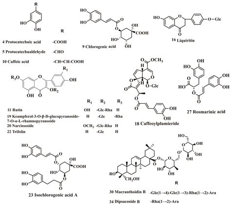 Qualitative and Quantitative Analysis of the Major Constituents in WLJ ...