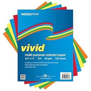Enviroshades Vivid Assorted Colored Paper, 8.5" x 11", 100 sheets ...