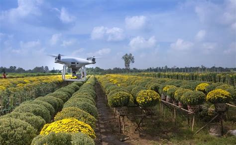 如何实现数字化农业：3个趋势＋4个要点-南京及时雨农业科技有限公司