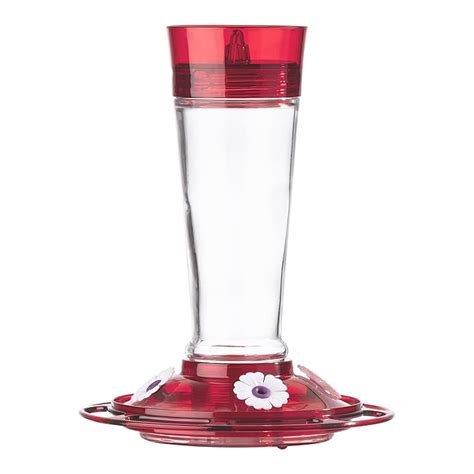 More Birds Ruby Hummingbird Glass and Plastic Feeder with 5 Feeding ...