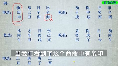 不会断卦？3步带你看懂六爻 实例孩子学业 - 哔哩哔哩