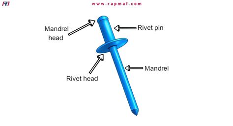 Image result for Protocol Template Example