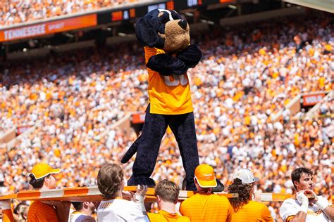 How to watch South Carolina-LSU game? Channel, time, odds, SEC schedule