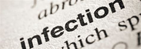 乐鱼app下载链接