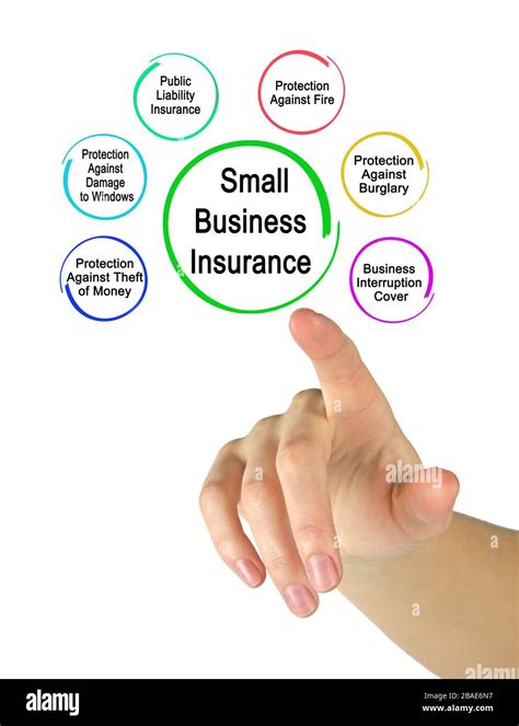 Types of Small Business Insurance and How They Work 的图像结果