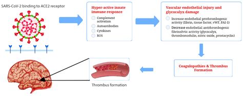 Cerebral Vasomotor Reactivity in COVID-19: A Narrative Review