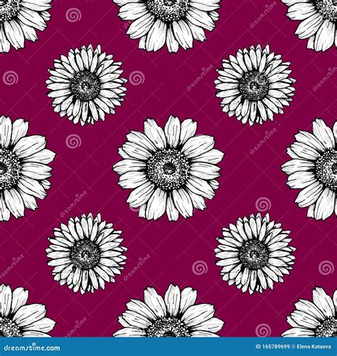 Simple Silhouettes of Daisies Black and White on a Dark Background Pattern Stock Vector ...