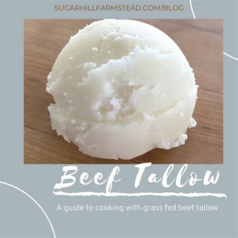 Beef Tallow Food Grade Organic Grass Fed Beef Tallow /tallow Animal ...