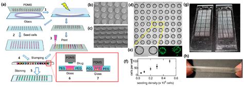 Image result for Cellular Microarray