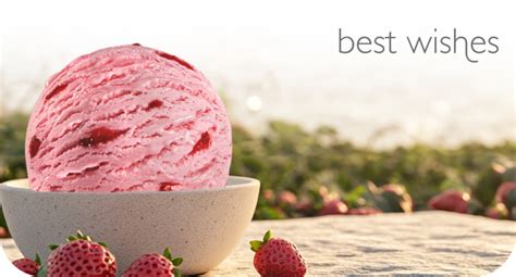 Enjoy Ice Creams In World Class Flavours | Ibaco