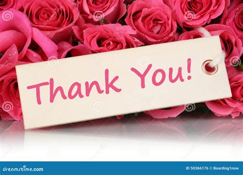 Thank You on Greeting Card with Roses Flowers on Mother S or Val Stock ...