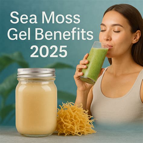 Sea Moss Gel Benefits: Complete Science-Backed Guide [2025] – Seamoss Global