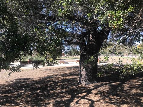 Northwest Open Space